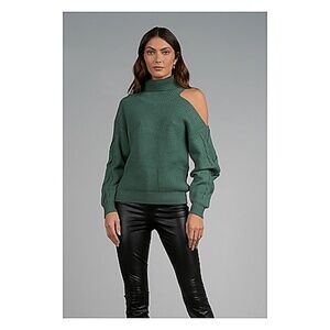 Elan Evergreen sweater NWT
